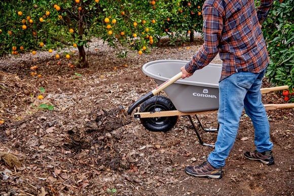 Corona Square Point Shovel with Wood Handle, Head 12-In, 15-Ga, 48-In