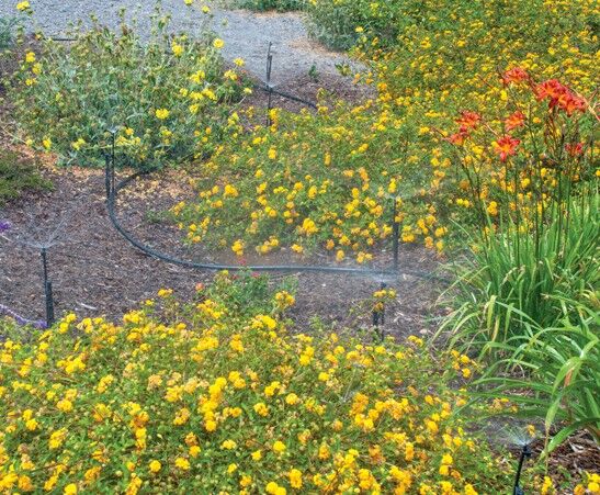 DIG Adjustable Landscape Micro Sprayer Kit, 30 PSI