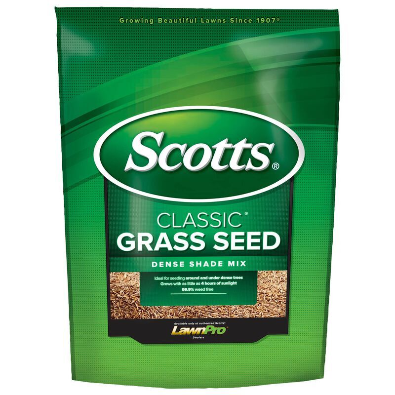 Scotts Classic Grass Seed Dense Shade Mix, 3-Lb