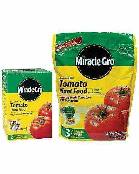 Miracle-Gro Tomato Food 18-18-21 - 1.5 lb