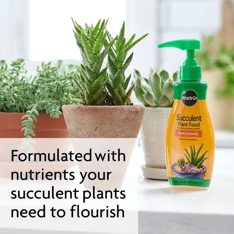 Miracle-Gro Succulent Plant Food, 8-Oz