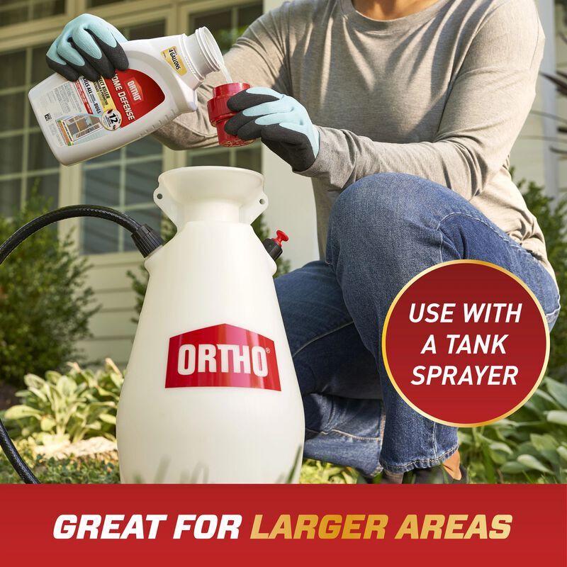 Ortho Home Defense Insect Killer for Indoor & Perimeter Concentrate, 32-Oz