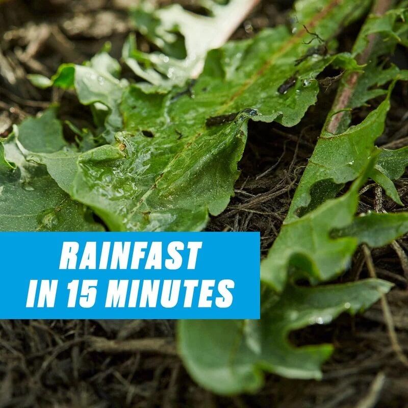 Ortho GroundClear Weed & Grass Killer Super Concentrate, 32-Oz