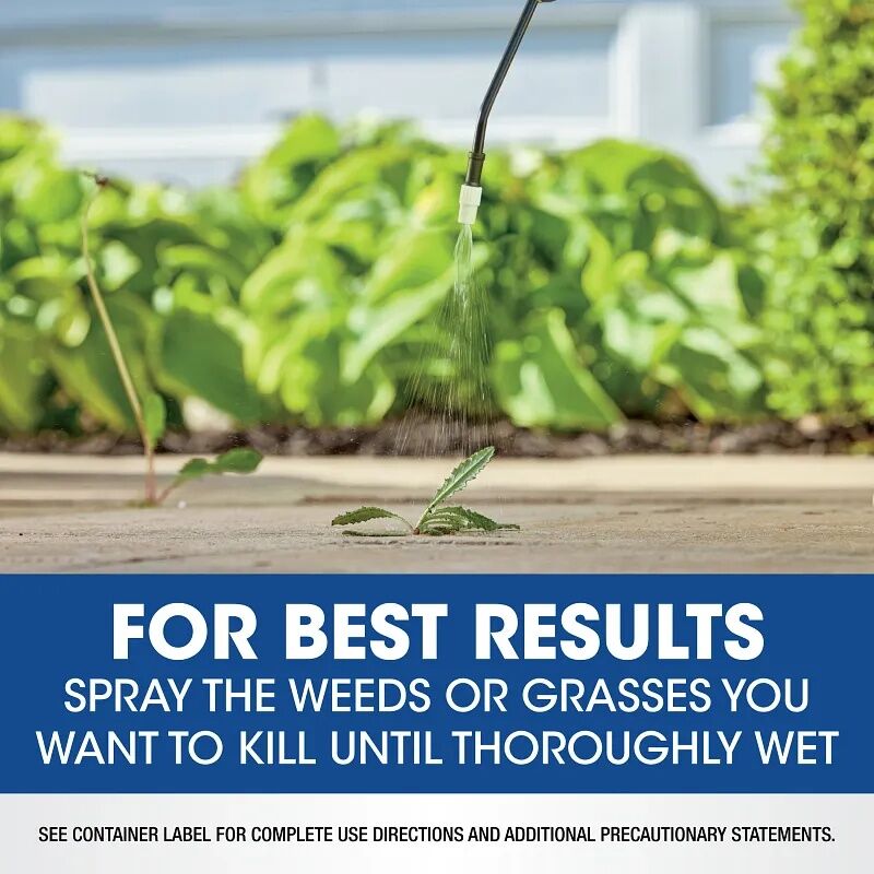 Pump N Go Weed Roundup - 1.33 gal