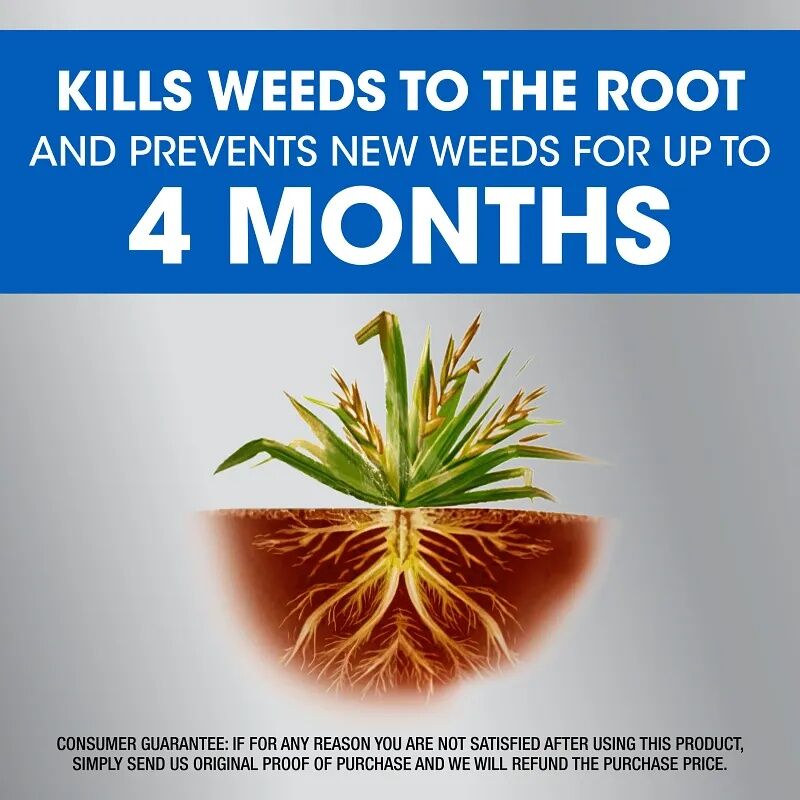 Roundup Weed & Grass Killer Plus Weed Preventer Extended Control Concentrate - 1 qt