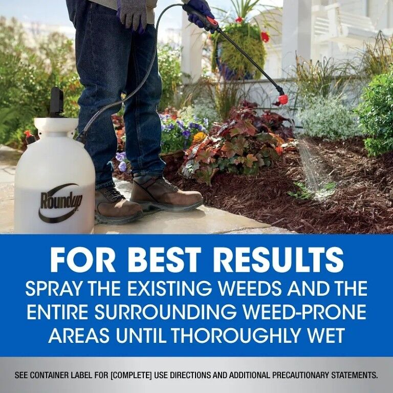 Roundup Weed & Grass Killer Plus Weed Preventer Extended Control Concentrate - 1 qt