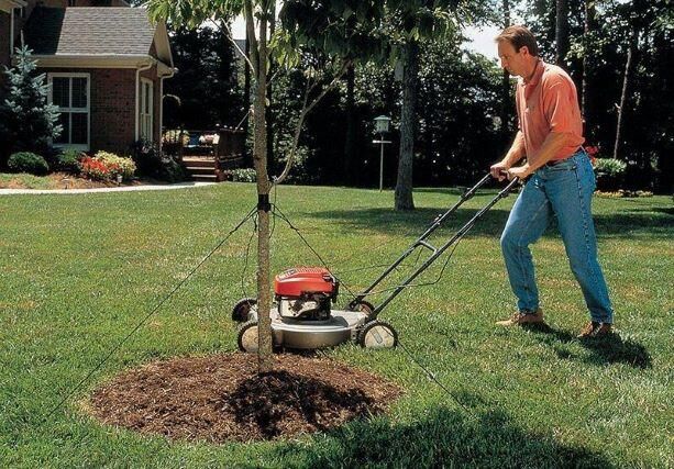 Dalen Mow-Over Tree Stake Kit