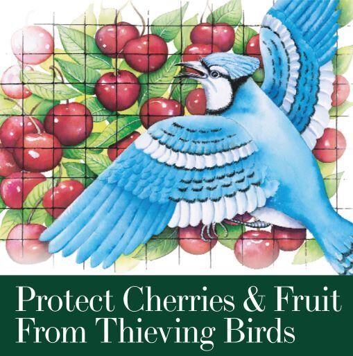 Dalen Bird-X Protective Netting For Fruit Trees & Shrubs, 5/8-In x 14-Ft x 14-Ft