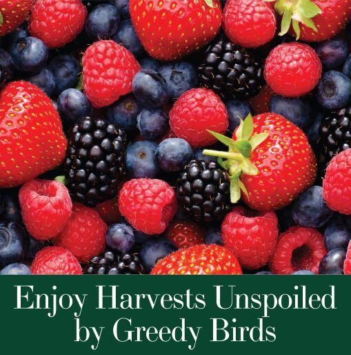Dalen Bird-X Protective Netting For Fruit Trees & Shrubs, 5/8-In x 14-Ft x 14-Ft