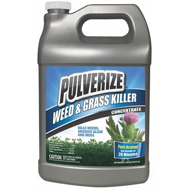 Pulverize Weed & Grass Killer, 1-Gal Concentrate