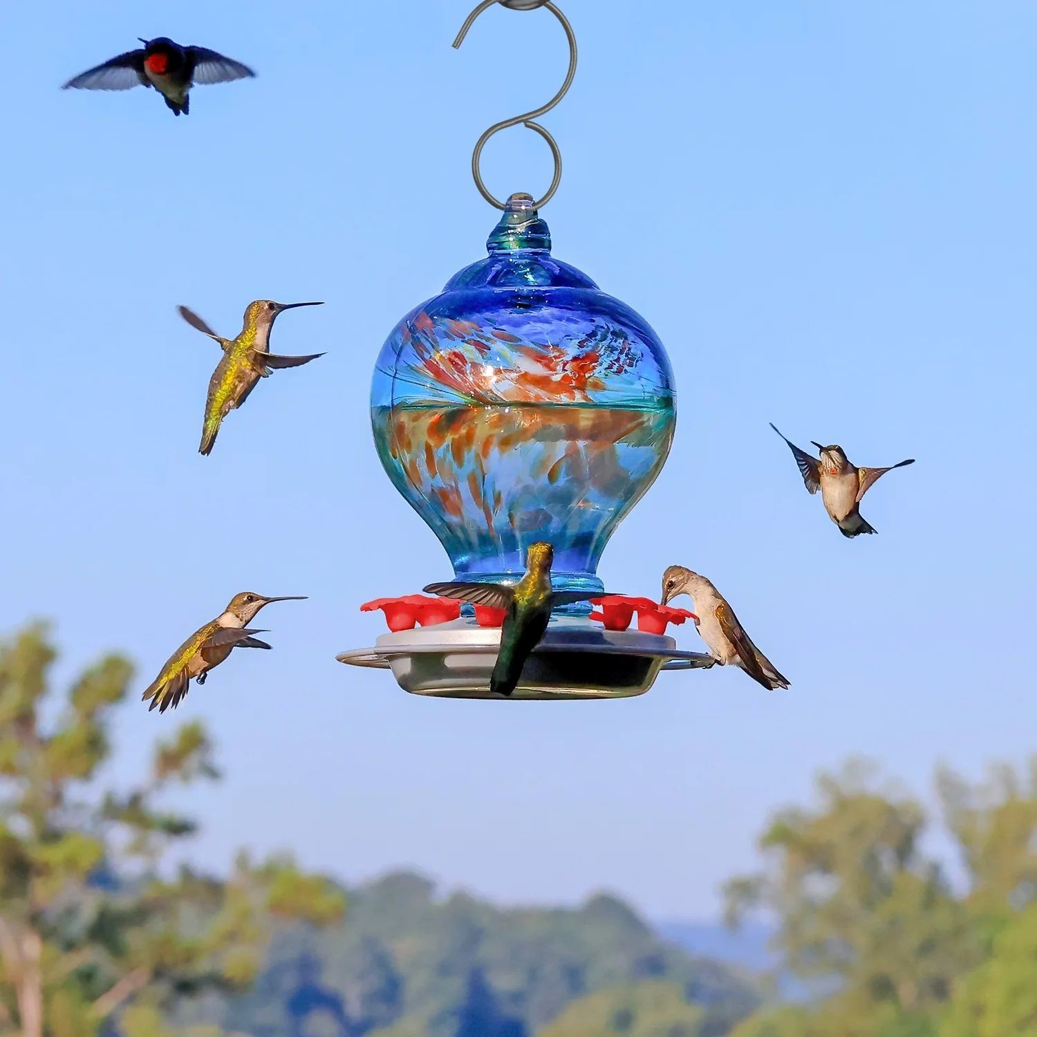 Nature's Way Artisan Gravity Hummingbird Feeder, Sunny Day, 28-Oz