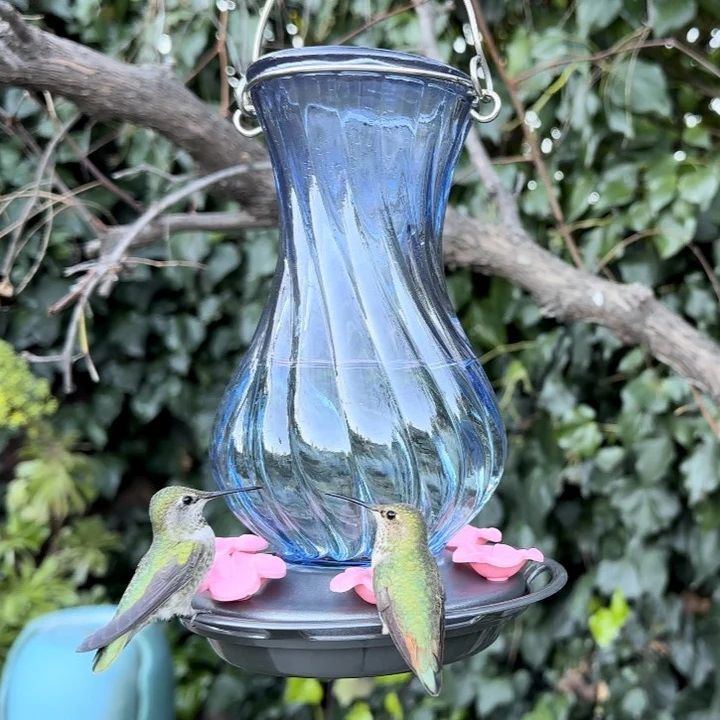 Nature's Way Perfect Pitcher Antique Glass Gravity Hummingbird Feeder, 32-Oz