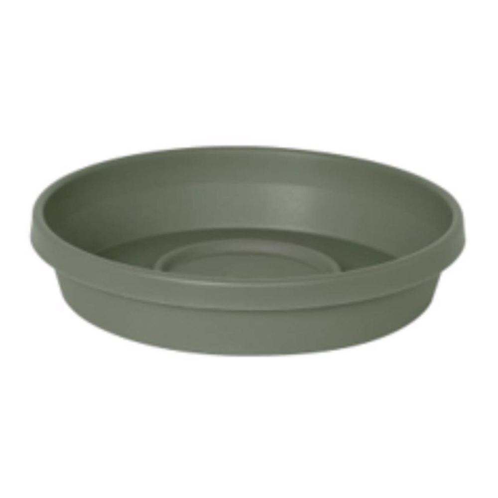 Bloem Terra Saucer Basil, 12-In