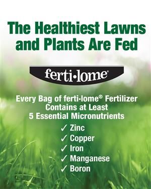 Ferti-Lome Lawn Food Plus Iron, 20-lb
