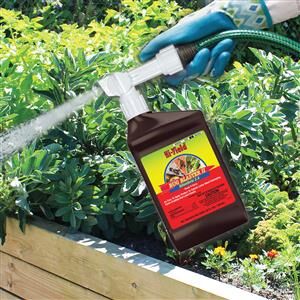 Hi-Yield Bug Blaster Bifenthrin Insecticide Rts - 32 oz