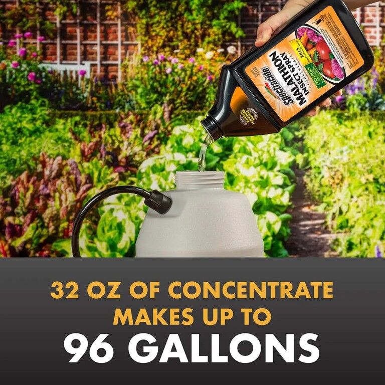 Spectracide Malathion Insect Spray Concentrate, 32-Oz