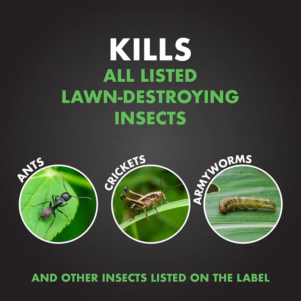 Spectracide Triazicide Insect Killer For Lawns Granules, 10-Lb