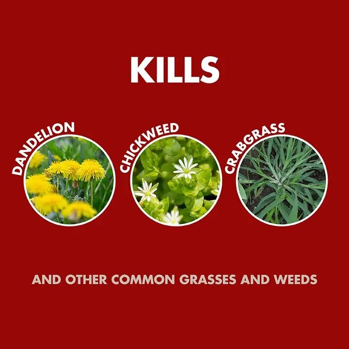 Spectracide Weed & Grass Killer With Accushot Sprayer, 1.33-Gal