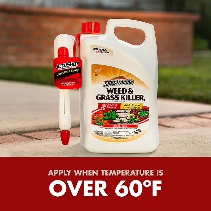 Spectracide Weed & Grass Killer With Accushot Sprayer, 1.33-Gal