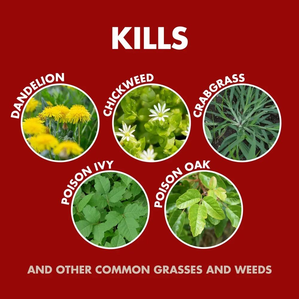 Spectracide Weed & Grass Killer, 32-Oz