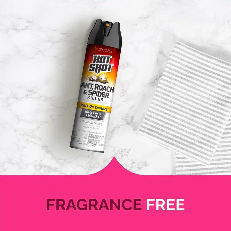 Hot Shot Fragrance Free Aerosol Ant, Roach, & Spider Killer, 17.5-Oz