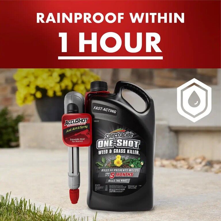 Spectracide One-Shot Weed & Grass Killer With Accushot Sprayer, 1-Gal