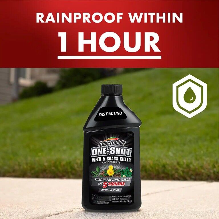 Spectracide One-Shot Weed & Grass Killer Concentrate, 32-Oz
