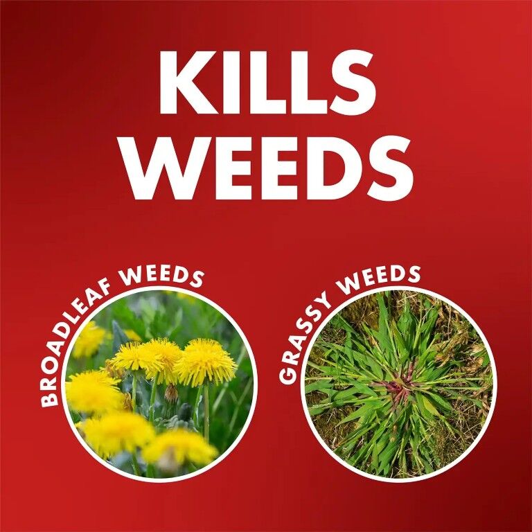 Spectracide One-Shot Weed & Grass Killer Concentrate, 32-Oz