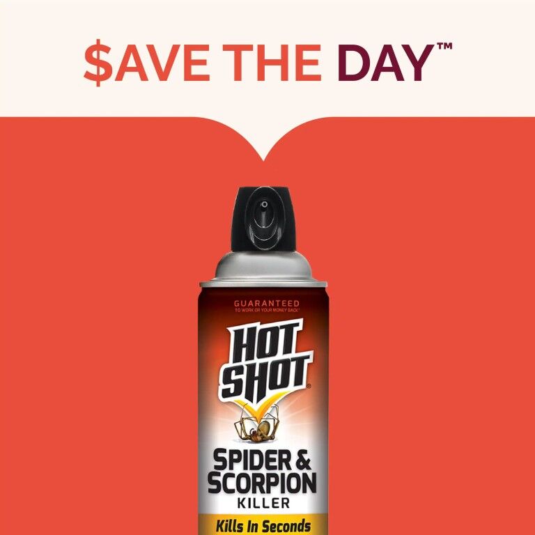 Hot Shot Spider & Scorpion Killer, 16-Oz