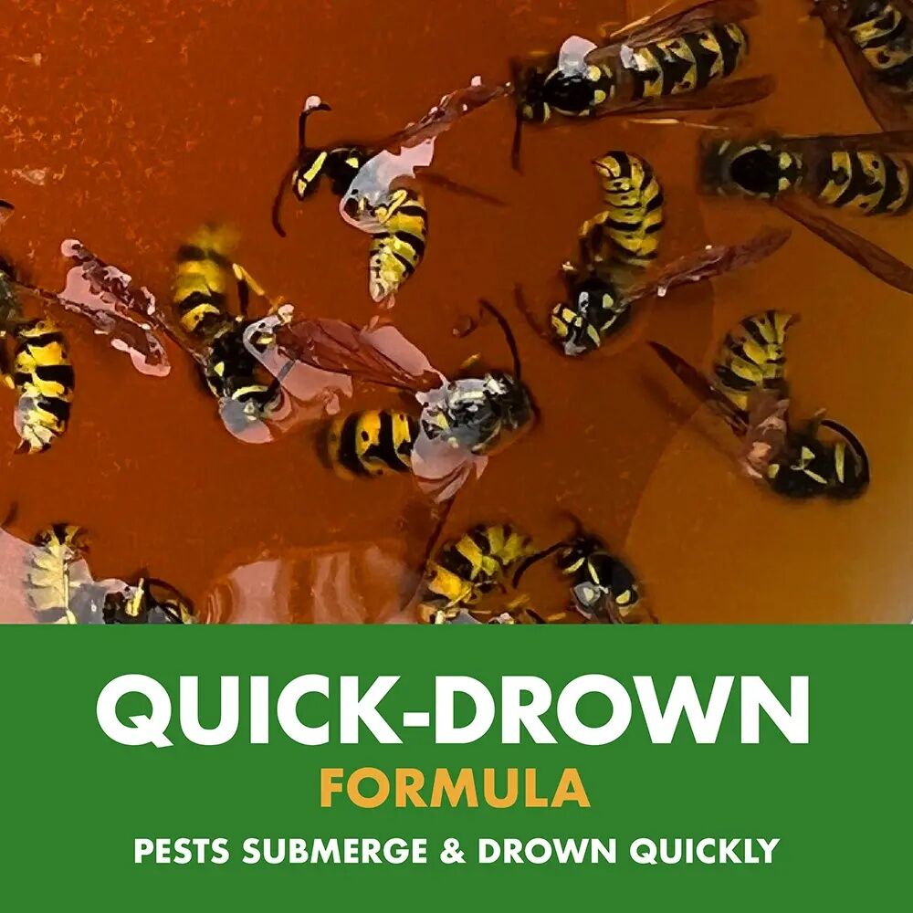Spectracide Wasp, Hornet, & Yellowjacket Trap