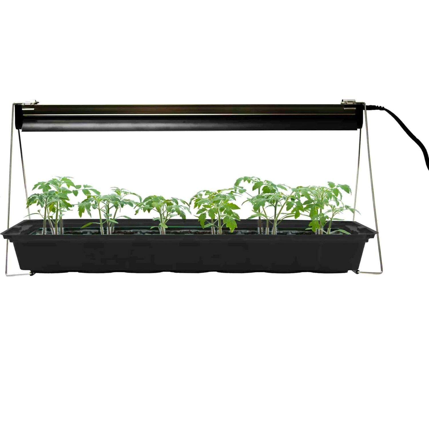 Ferry-Morse Indoor Grow Light Fixture with T5 Bulb, 24-In x 11-In