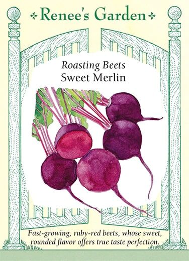 Renee's Garden Roasting Beets Sweet Merlin