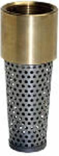 Genova Brass Foot Valve - 2 in