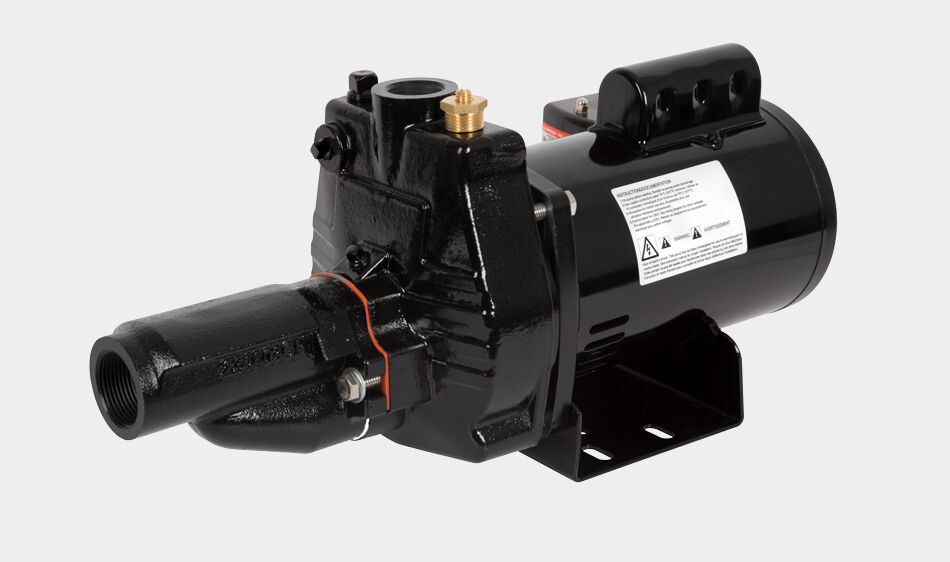 Red Lion 3/4-Hp Convertible Pump