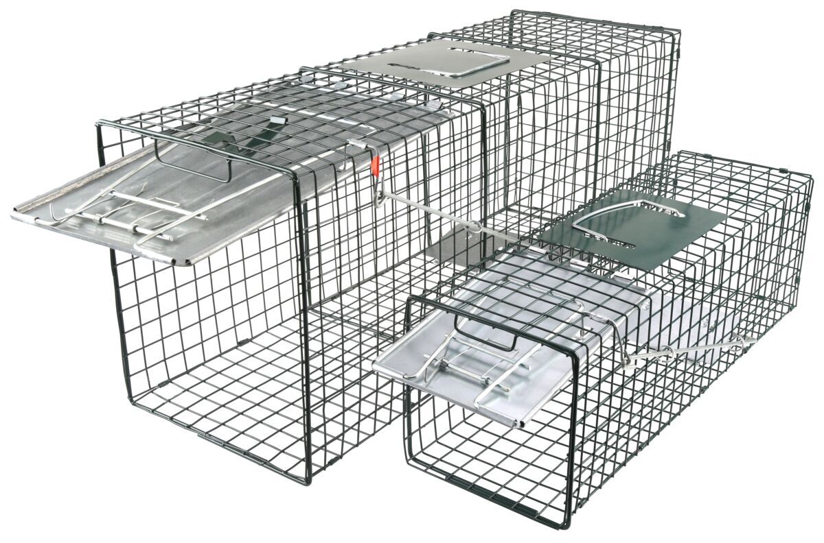 Water Wood Live Animal Trap, 2-Pk