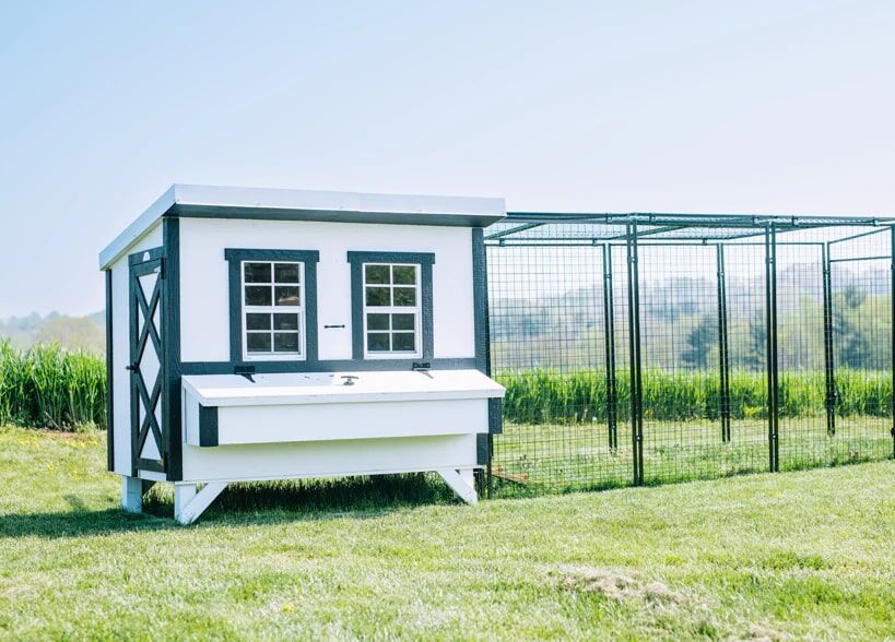 OverEZ Large Chicken Coop, Black/White