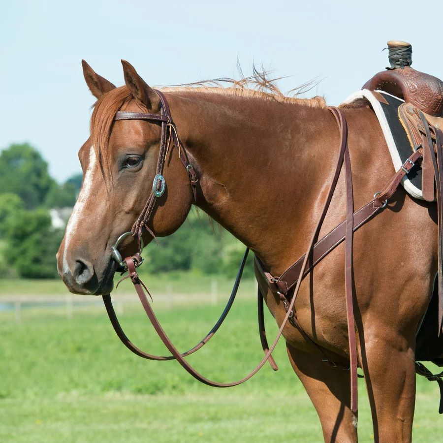 Weaver Leather Contoured Working Tack Breast Collar