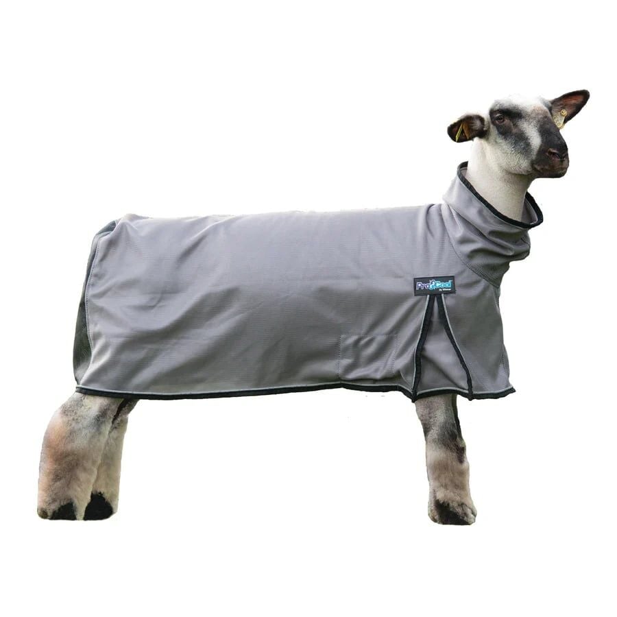 Weaver Livestock Medium Grey ProCool Sheep Blanket with Reflective Piping, Mesh Butt
