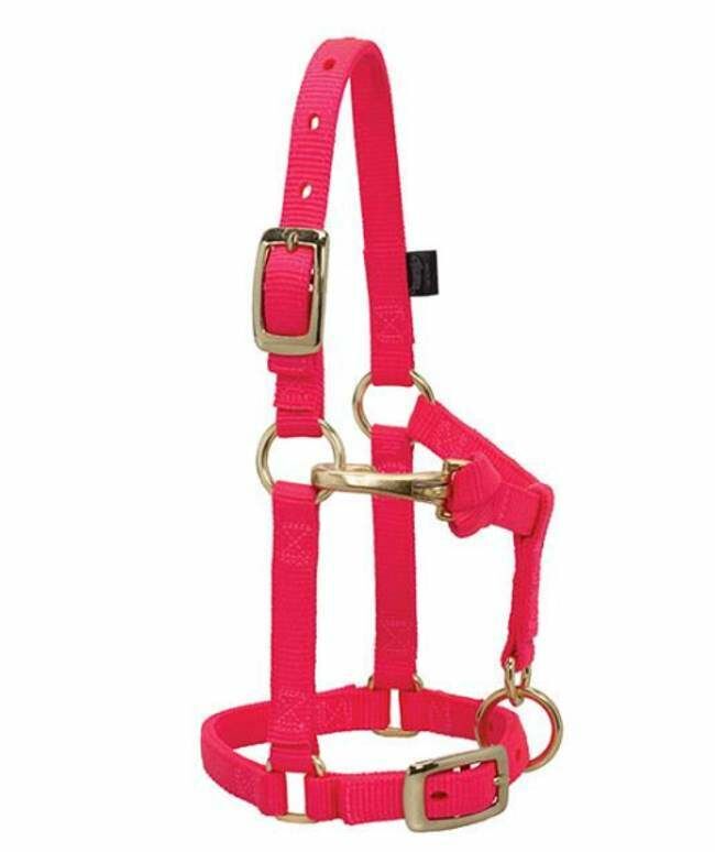 Weaver Leather Adjustable Chin & Throat Snap Halter - Diva Pink