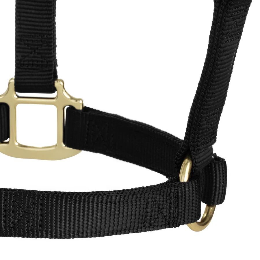 Weaver Equine Original Non-Adjustable Yearling Black Halter, 1-In
