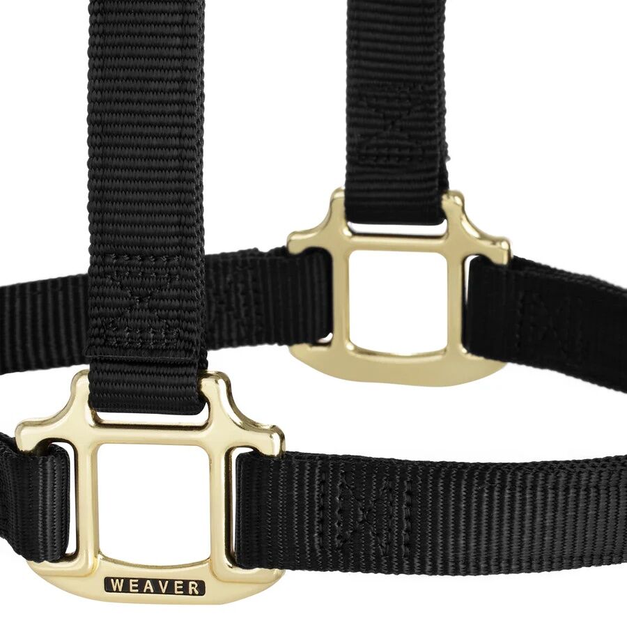 Weaver Equine Original Non-Adjustable Yearling Black Halter, 1-In