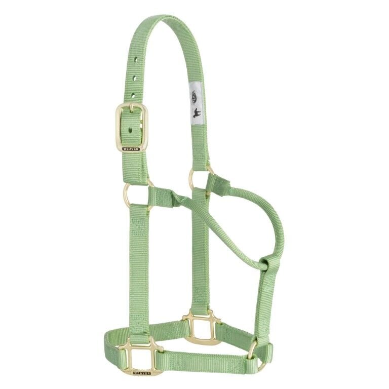 Weaver Leather Pistachio Green Average Original Non-Adjustable Halter, 1-In