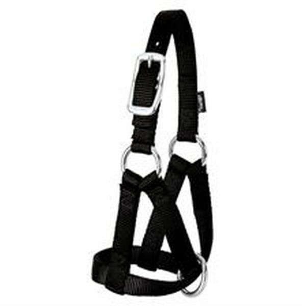 Weaver Leather Goat Halter - Small - Black