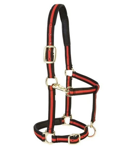 Weaver Leather Striped Padded Adjustable Chin And Throat Snap Halter - Red, Average Horse/Yearling