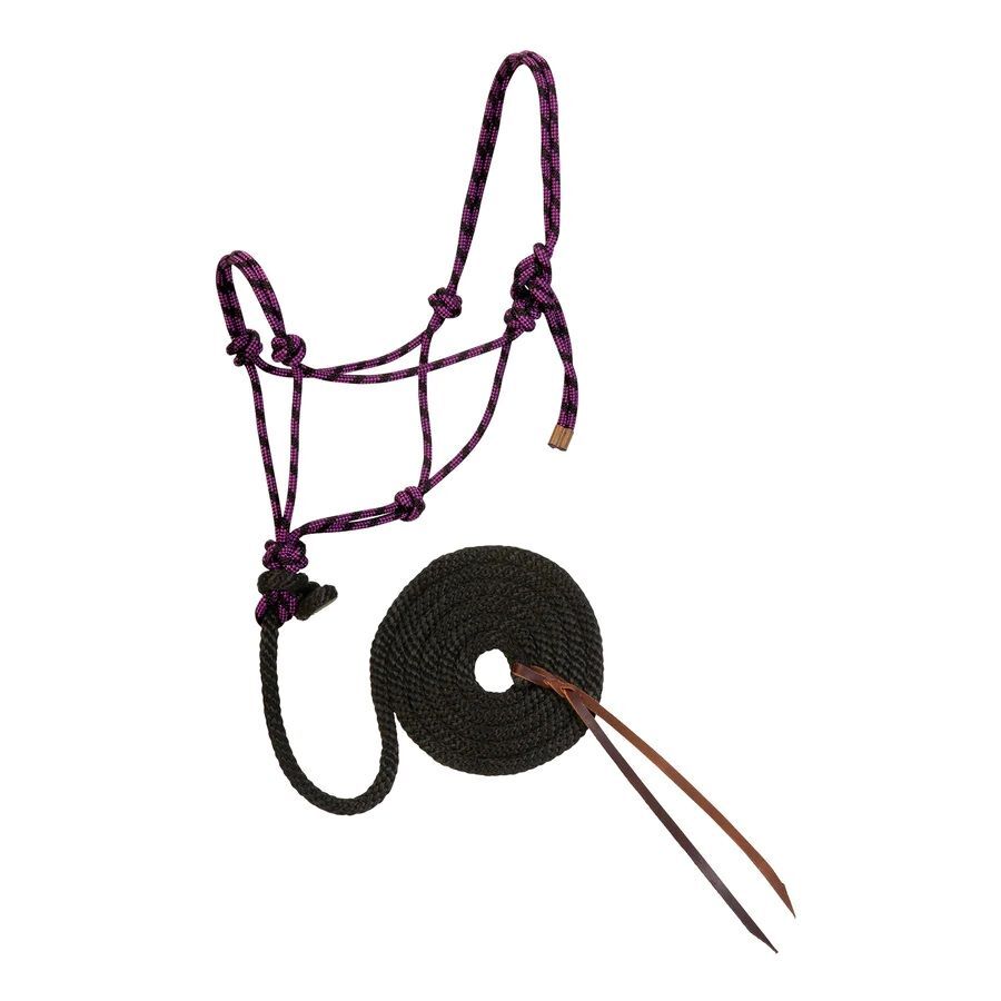 Weaver Leather Purple Jazz & Black Diamond Braid Rope Halter and Lead