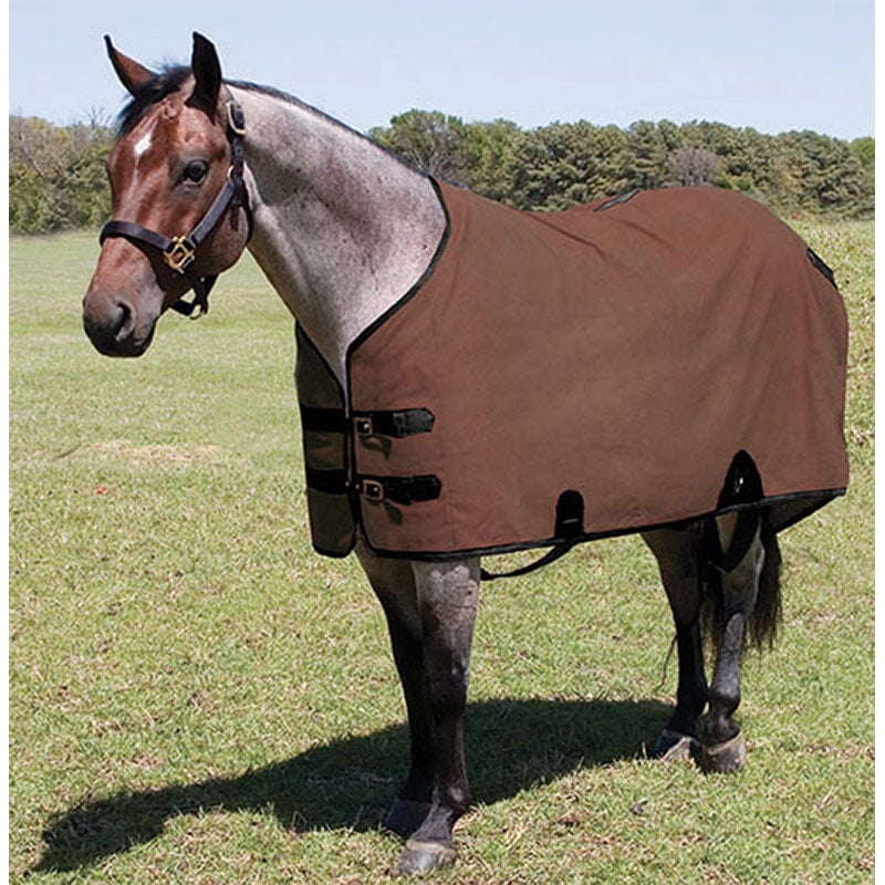 Mustang Manufacturing Brown Canvas Stable Blanket, 82-In