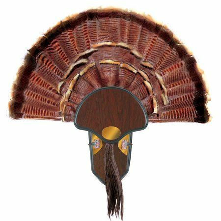 Allen Turkey Tail Feather Mount Kit