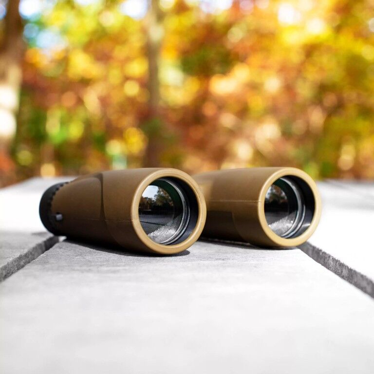 Carson Stinger Compact and Lightweight Binoculars, 12 X 32-mm