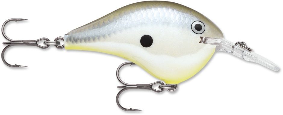Rapala Dives To Series 6-Ft Depth Disco Shad Crankbait, 3/8-Oz, 2-In