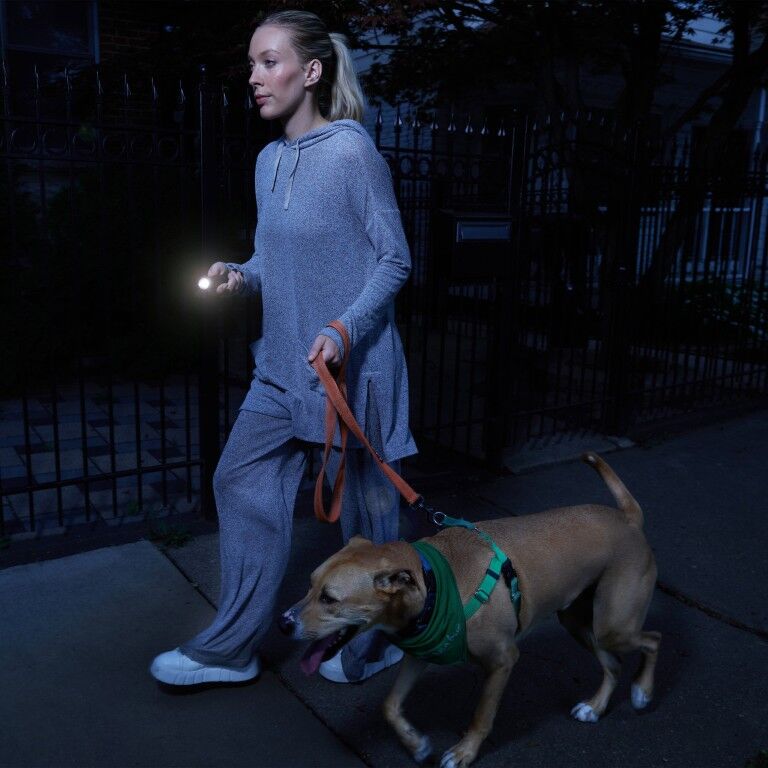 Sabre 2-In-1 Stun Gun With 200 Lumen LED Flashlight